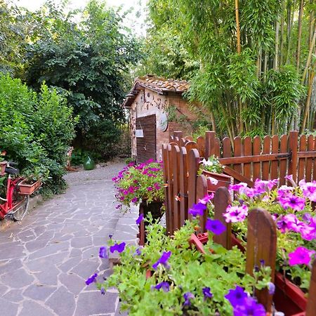 Apartament Loft In Antico Mulino Isola d'Arbia Zewnętrze zdjęcie